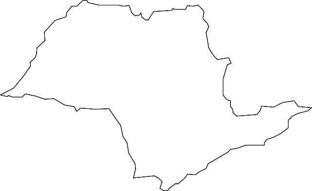 Harta São Paulo vector